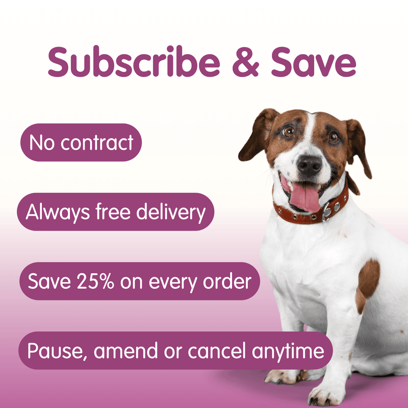 Allergy & Itch Bundle for Dogs | Medium