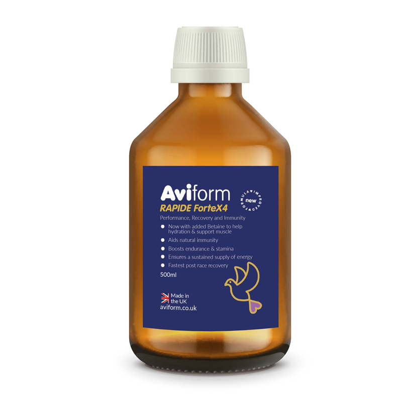 RAPIDE ForteX4 Stamina, Endurance, Recovery and Immunity Supplement for Racing Pigeons