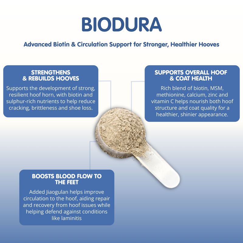 Biodura | Biotin Hoof Supplement for Horses