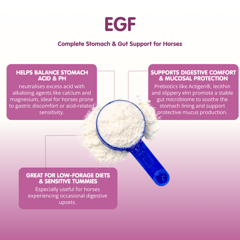 EGF | Equine Gastric Formula