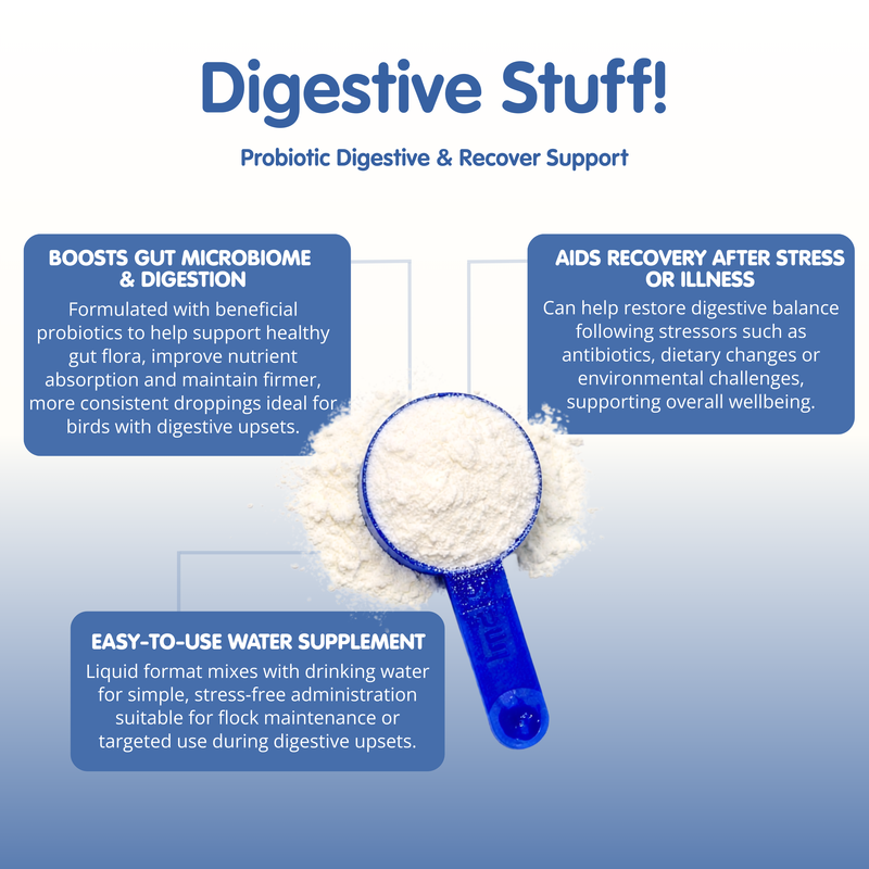 DIGESTIVE STUFF! Probiotic Chicken Recovery Supplement