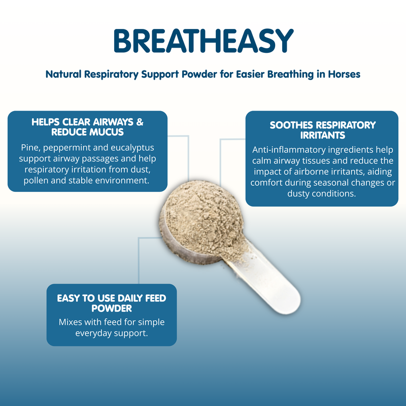 Breatheasy | Powder Respiratory Aid for Horses