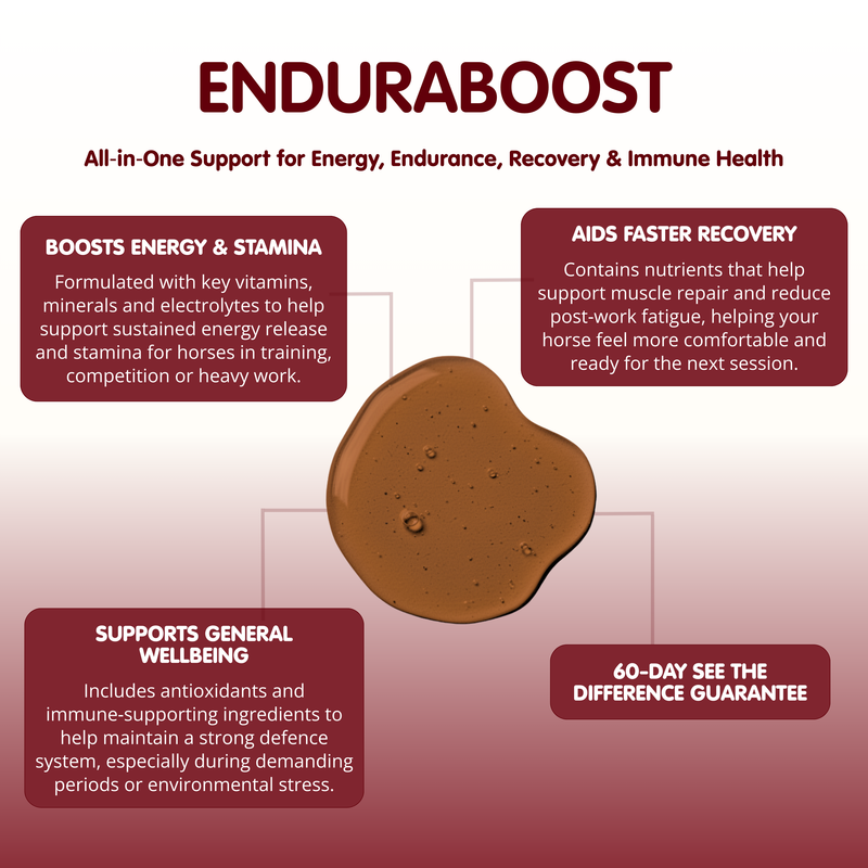 Enduraboost | Energy & Recovery Supplement for Horses