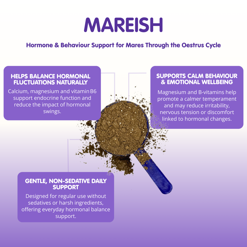 Mareish | Supplement For Hormonal Mares