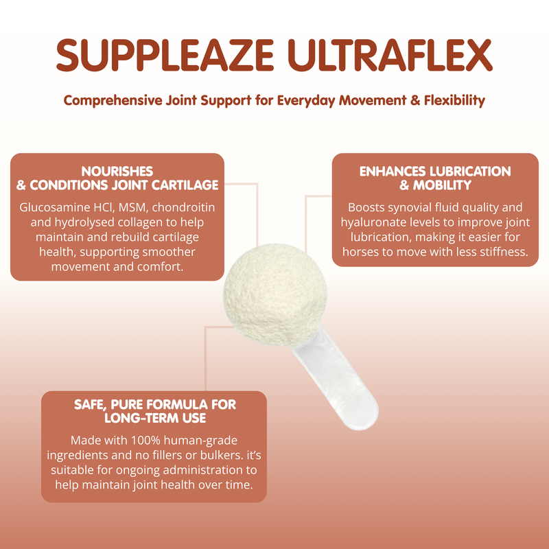 Suppleaze Ultraflex | Equine Joint Supplement
