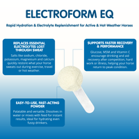 Electroform EQ | Equine Electrolytes