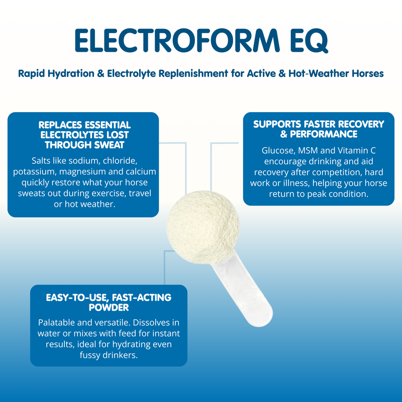 Electroform EQ | Equine Electrolytes
