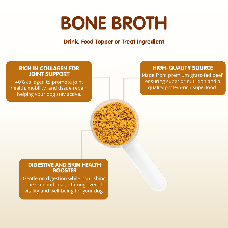 Beef Bone Broth | Powder Supplement for Dogs