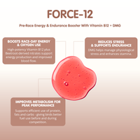FORCE 12 + DMG Pre Race Booster for Racing Pigeons