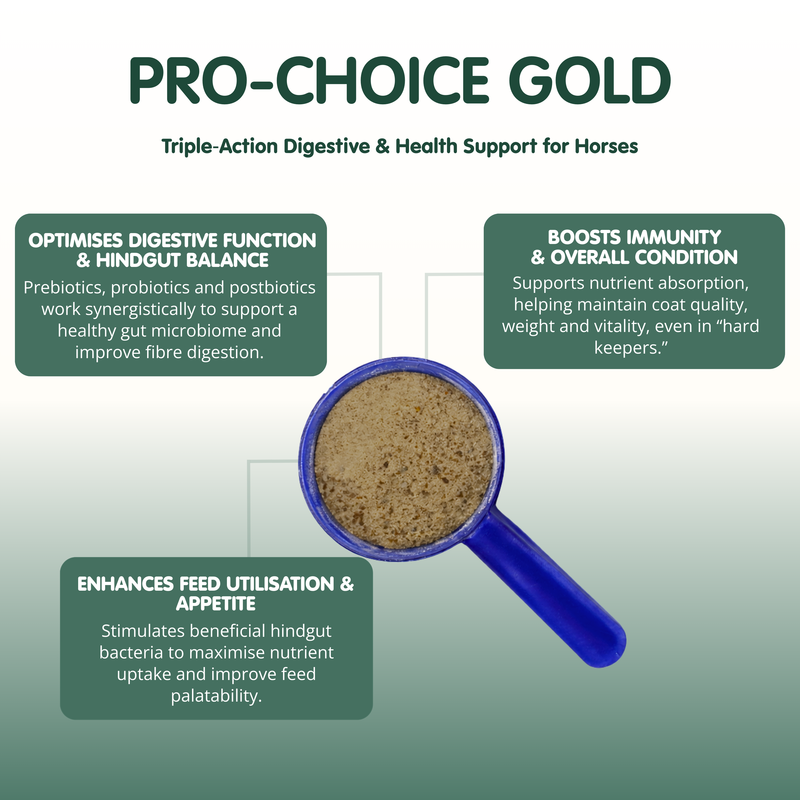 Pro-Choice Gold | Triple Synergy Equine Digestive &amp; Health Supplement