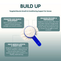 Build Up | Equine Muscle Builder