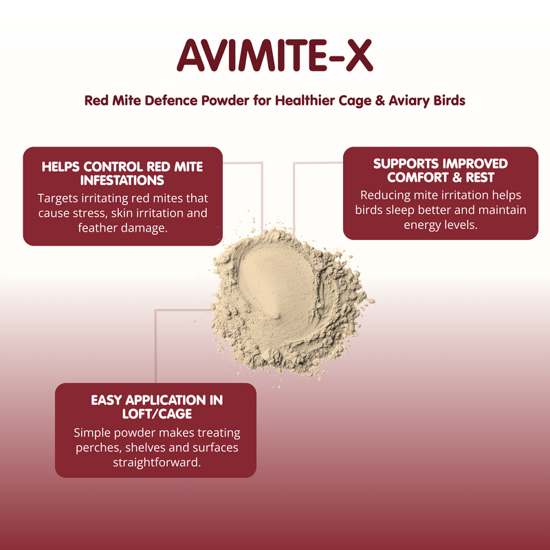 AVIMITE-X Red Mite Powder for Cage &amp; Aviary Birds