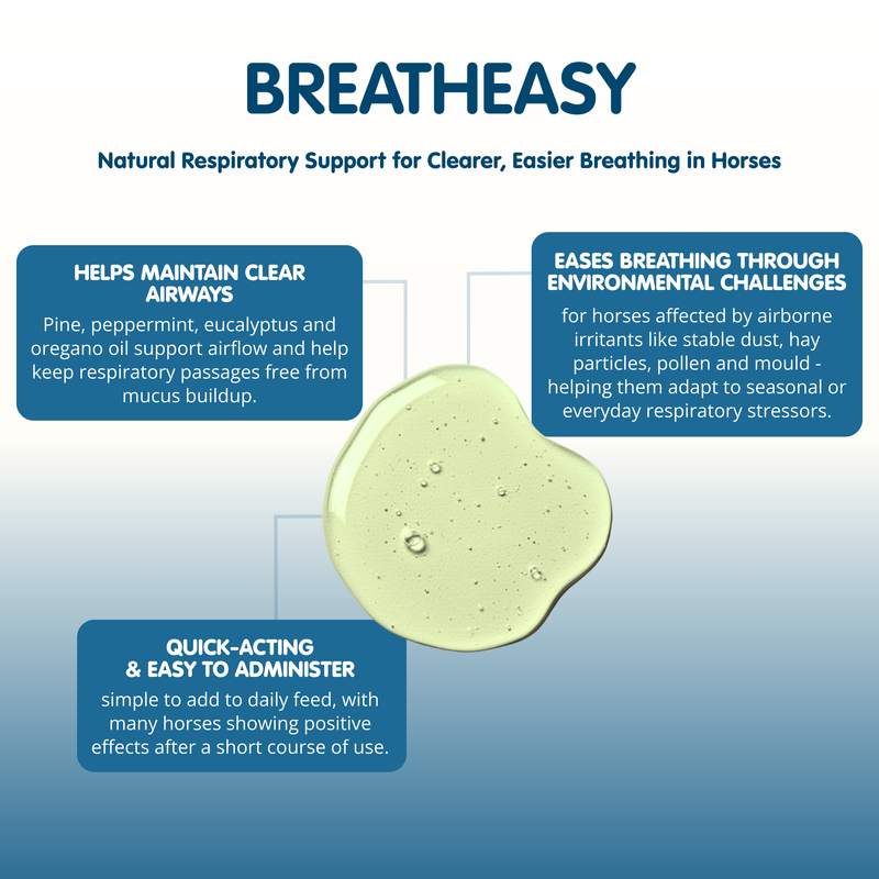 Breatheasy | Natural Respiratory Aid for Horses