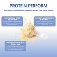 PROTEIN PERFORM Protein for Racing Pigeons
