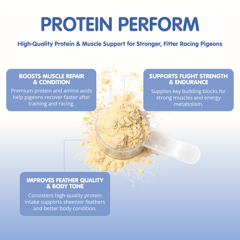 PROTEIN PERFORM Protein for Racing Pigeons