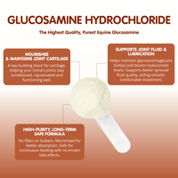 Glucosamine Hydrochloride | Equine Joint Supplement