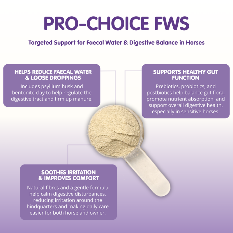 Pro-Choice FWS | Faecal Water Supplement For Horses