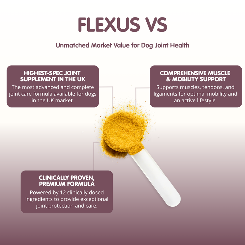 Flexus VS | Ultimate Dog Hip and Joint Supplement
