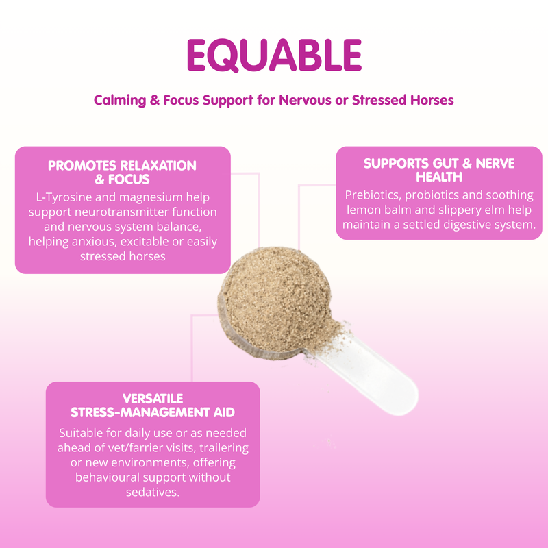 Equable | Powder Horse Calmer