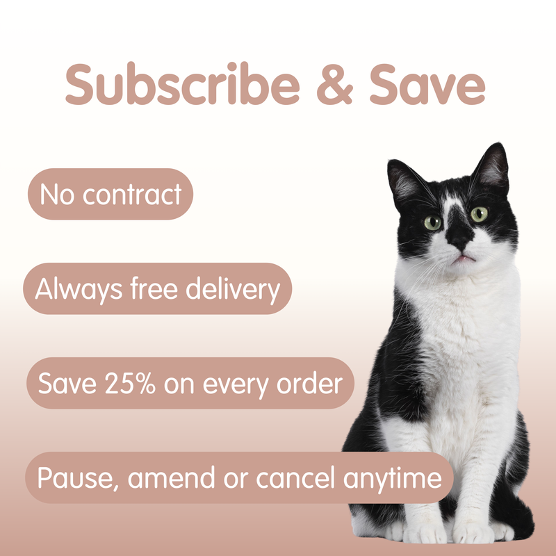 VITALCOAT Cat Coat and Skin Supplement Conditioner