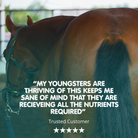 Pro-Complete | Ultimate Equine All in One Supplement