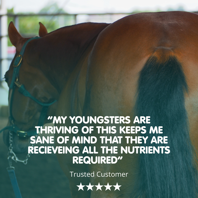 Pro-Complete | Ultimate Equine All in One Supplement