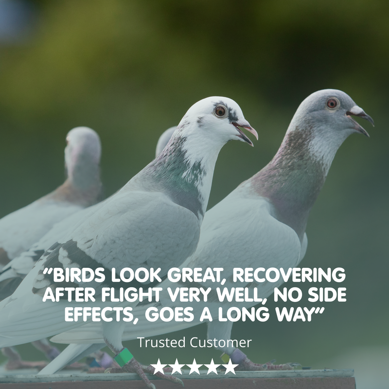 ELECTROFORM Soluble Electrolytes for Racing Pigeons