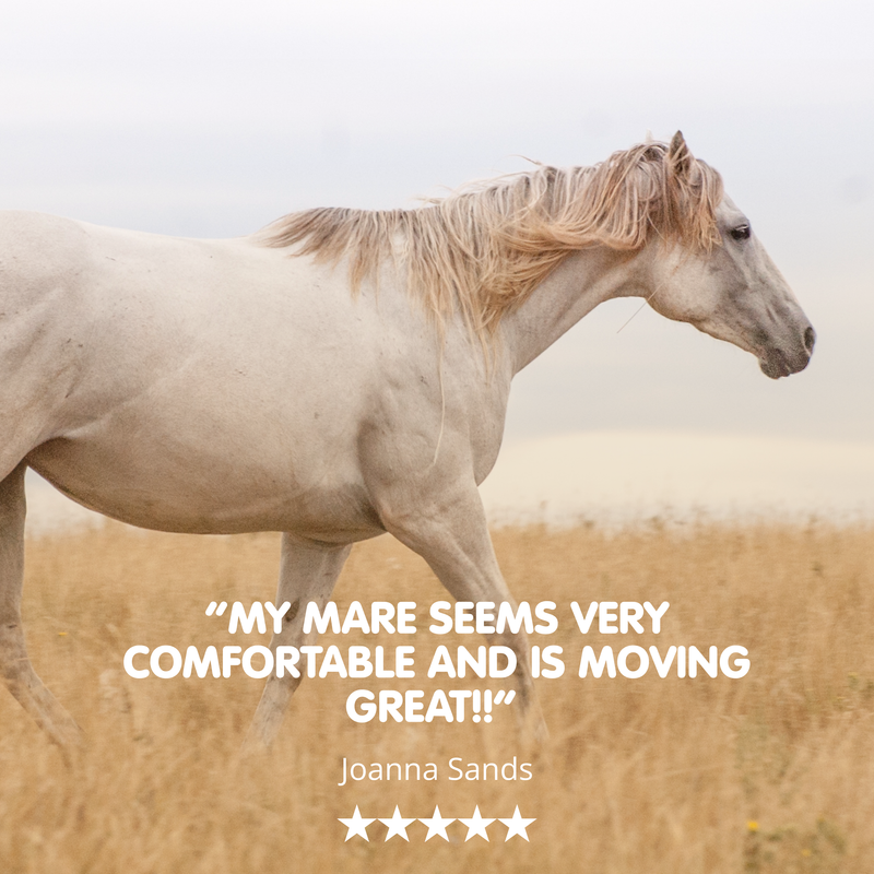 Suppleaze Progen | Horse Joint Supplement with Hydrolysed Collagen