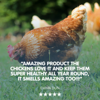 RESPIRATORY STUFF! Respiratory Supplement For Chickens