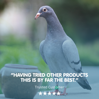 VITAFLIGHT F1 Racing Pigeon Multivitamin Supplement