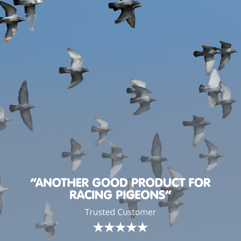 ERADIMITE-X Red Mite Powder for Racing Pigeons