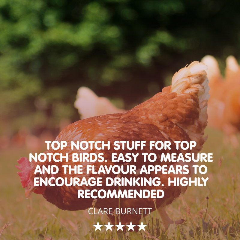 Mitey-X Stuff! Red Mite Powder for Chickens