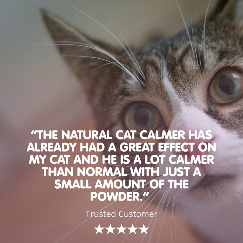 NATURAL CALM Feline Calming Supplement for Cats