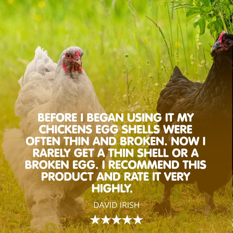 SHELL STUFF! Liquid Calcium Supplement for Chickens