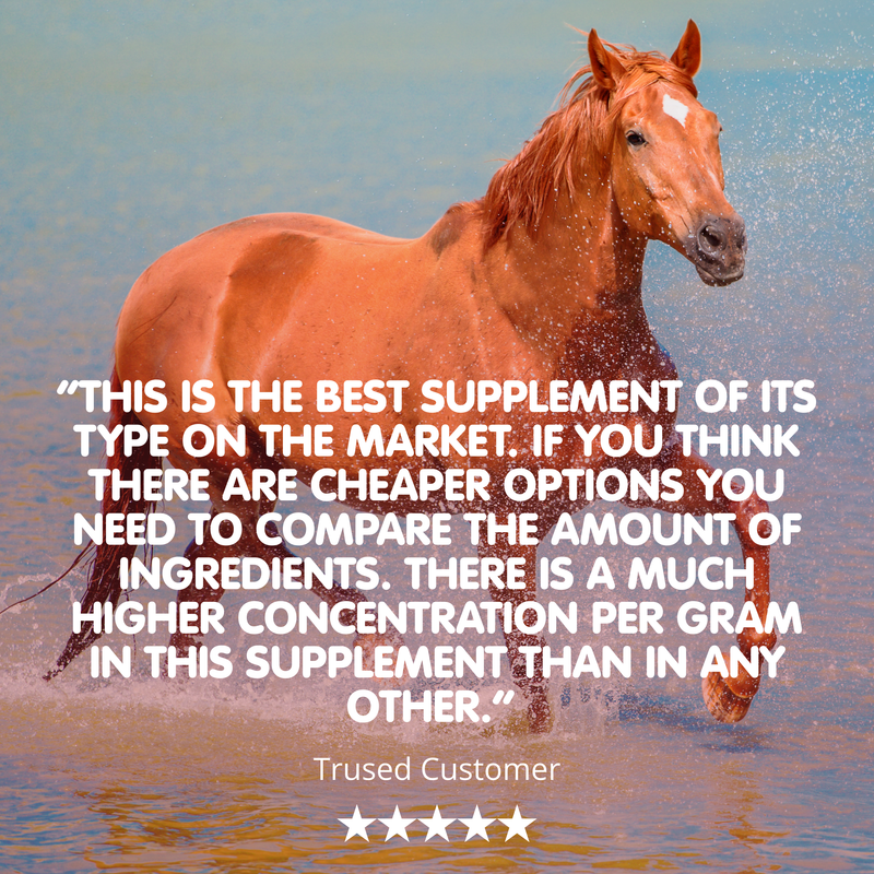 Suppleaze VS | Ultimate Equine Joint Supplement