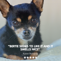 Flea, Tick &amp; Worm Tonic | Supplement For Dogs