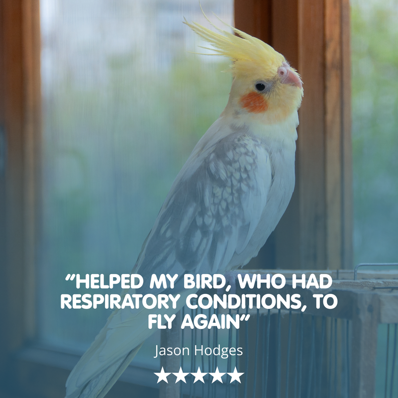 MYCOFORM-CA Cage &amp; Aviary Bird Respiratory Supplement