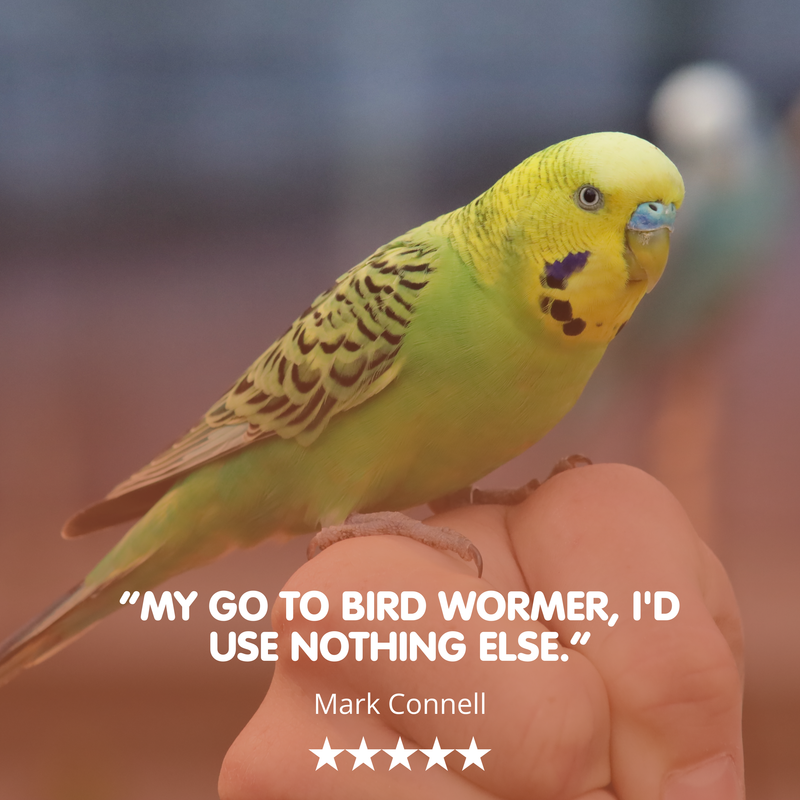 EXPEL supplement for Cage &amp; Aviary Birds