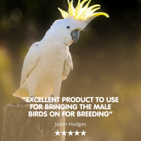 Wheatgerm Oil Vitamin E Supplement For Cage & Aviary Birds