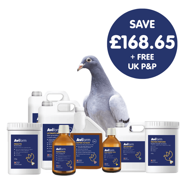 Hyper Pack | Multipack for Racing Pigeons