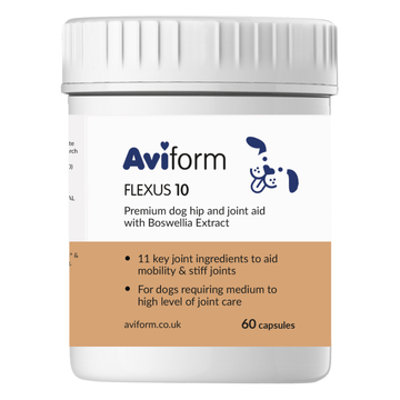 Flexus 10 | Premium Hip and Joint Supplement for Dogs