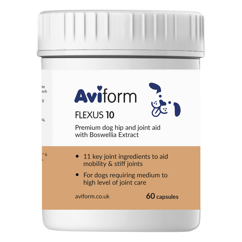 Aviform Flexus 10 premium hip and joint supplement for dogs