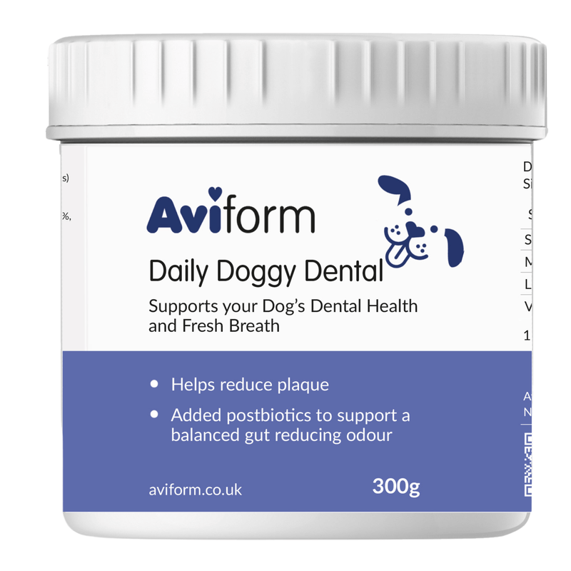 Daily Doggy Dental | Canine Oral Care