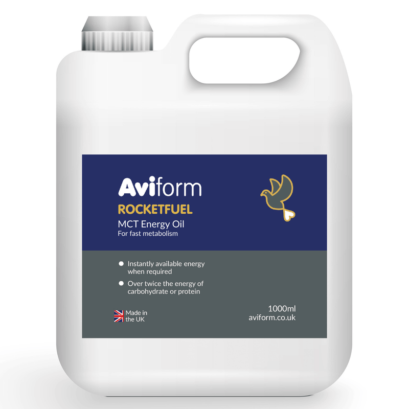 ROCKETFUEL MCT Energy Oil for Racing Pigeons