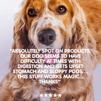 Dog Digestion Pack | Small | Montytummy & Tummytonic