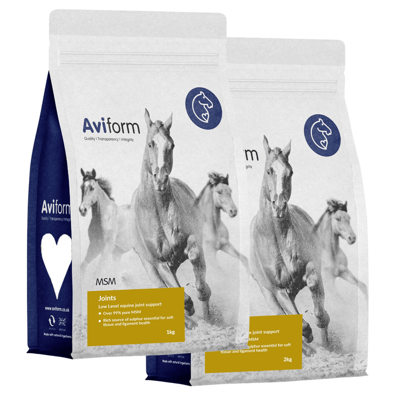 MSM | Pure Joint Care Supplement for Horses