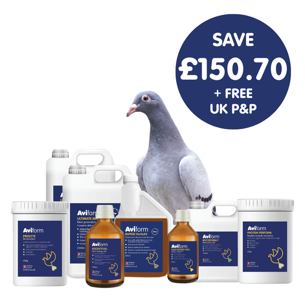 Hyper Pack | Multipack for Racing Pigeons