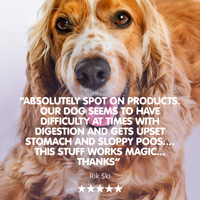 Dog Digestion Packs | Montytummy & Tummytonic
