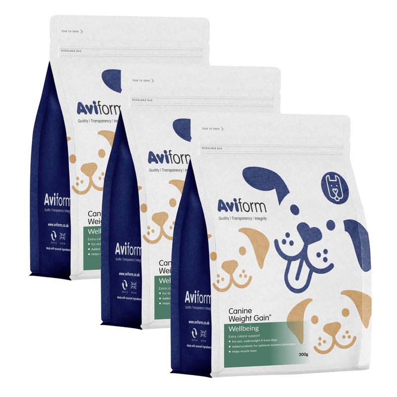 Weight Gain | Weight Gain Supplement for Dogs