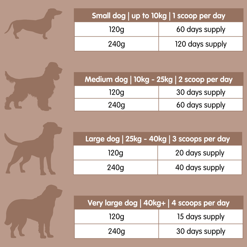 Doggy Shrooms Mushroom Blend Supplement for Dogs